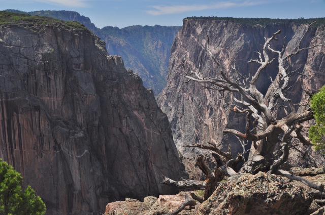 the north rim's chasm view 